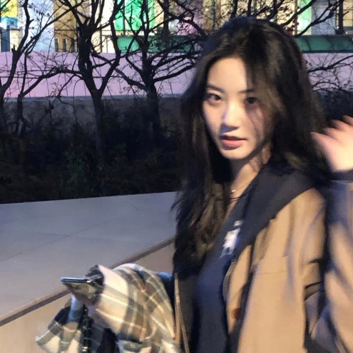 玻璃之花与坏掉的世界